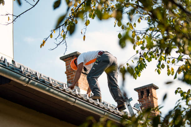 Best Roof Insulation Installation  in Amerin Nyon, CA