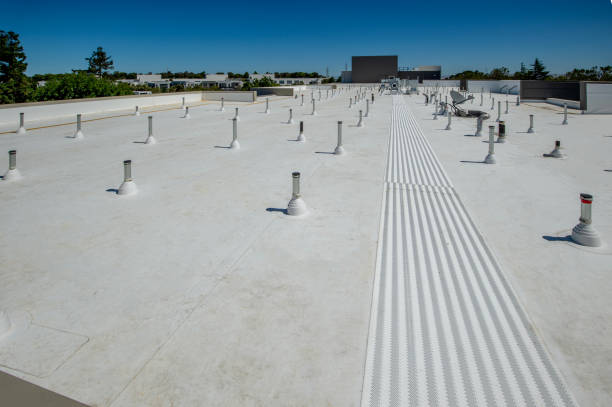 Best Emergency Roof Repair Services  in Amerin Nyon, CA